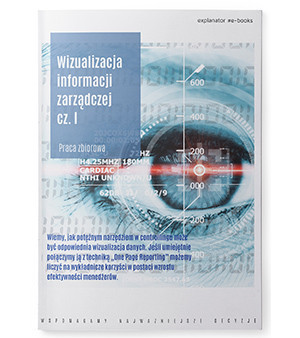 Wizualizacja informacji zarządczej cz. 1 [e-book]
