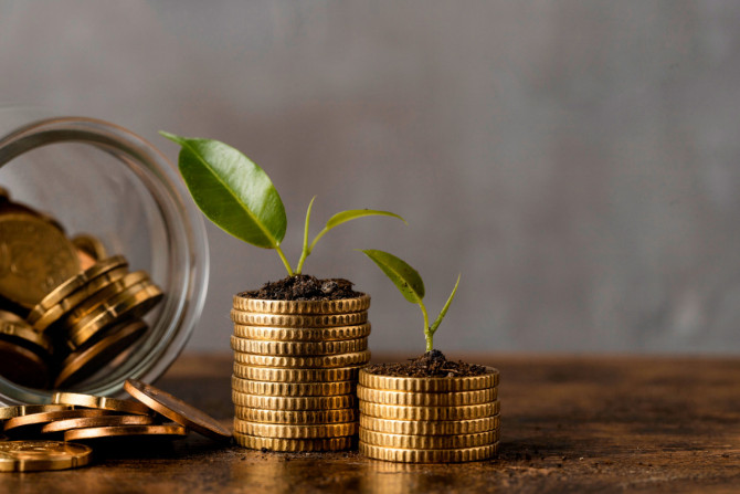 widok-z-przodu-dwoch-stosow-monet-ze-sloikiem-i-roslinami (2).jpg