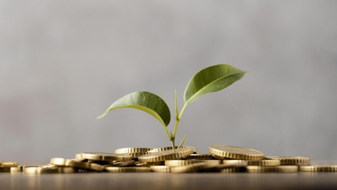 front-view-plant-growing-from-golden-coins.jpg front-view-plant-growing-from-golden-coins.jpg