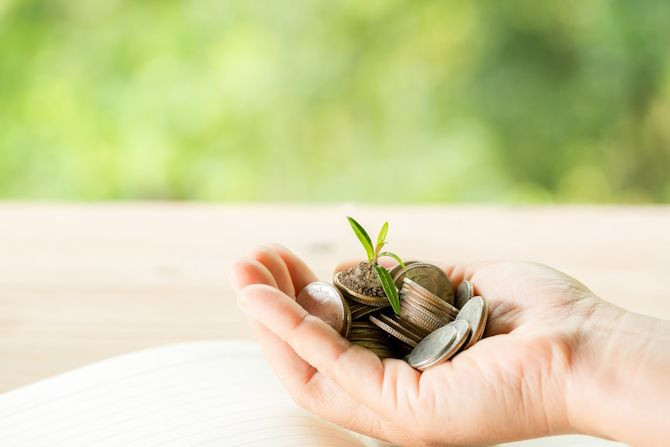 woman-s-hand-is-holding-many-coins.jpg woman-s-hand-is-holding-many-coins.jpg