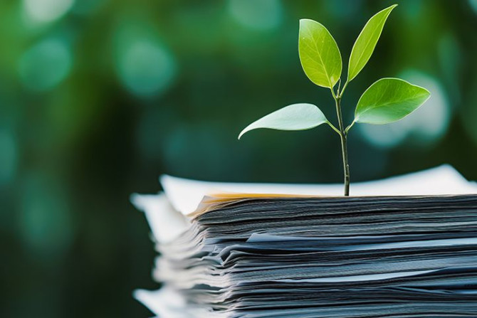 plant-sprouting-from-paperwork-representing-sustainable-development.jpg